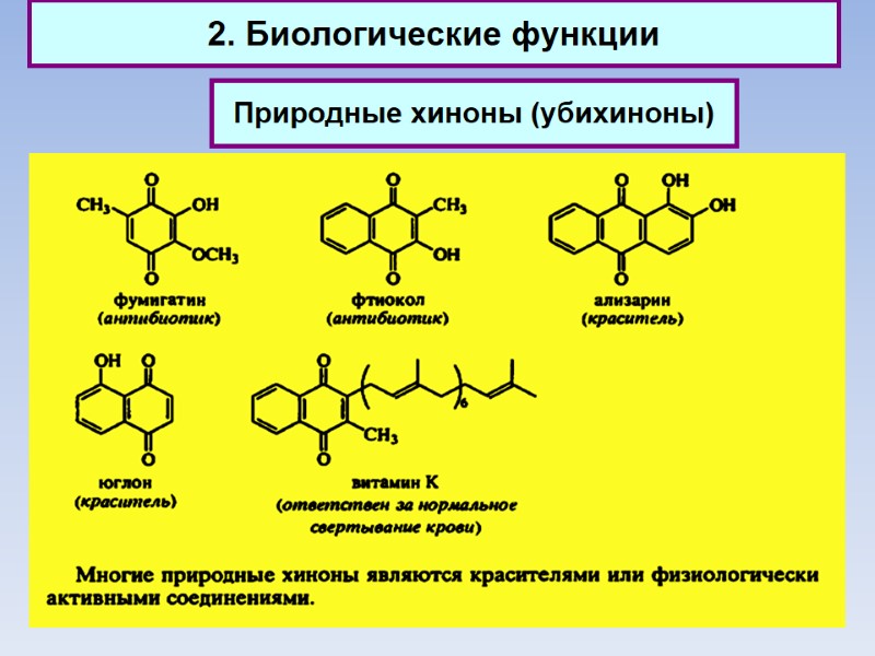 2. Биологические функции Природные хиноны (убихиноны)
